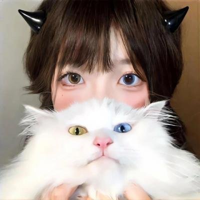 法医朝颜2025新春特别篇